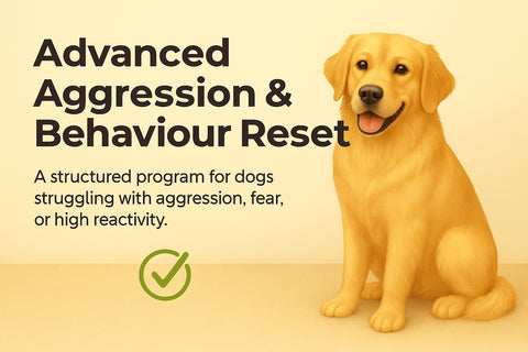 Dog Advanced Aggression & Behaviour Reset
