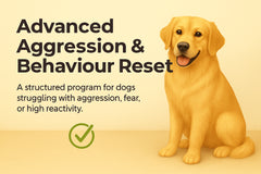 Dog Advanced Aggression & Behaviour Reset